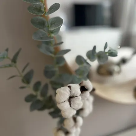 Appartamento Przy Obserwatorium&singielnia